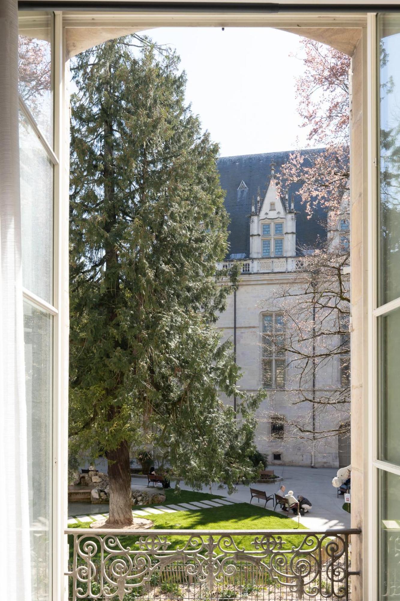 La Chouette Des Ducs, Appartement En Hypercentre Dijon Exterior photo